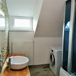 Rent 2 bedroom apartment of 82 m² in Nový Jičín