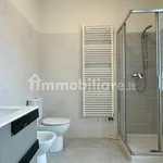 Rent 1 bedroom apartment of 42 m² in Piacenza