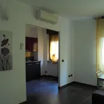 Rent 2 bedroom apartment of 50 m² in Novara