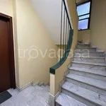 Rent 3 bedroom apartment of 75 m² in Torino