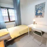 Rent a room in madrid