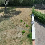 Affitto 3 camera appartamento di 70 m² in Rosignano Marittimo