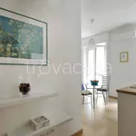 Rent 1 bedroom apartment of 50 m² in Milano