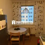 Rent 1 bedroom apartment of 14 m² in Praha