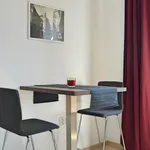 Rent 1 bedroom apartment of 40 m² in Brno