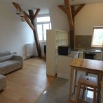 Rent 1 bedroom apartment of 47 m² in Erlangen