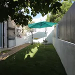 Rent 1 bedroom apartment in Madrid