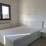 Rent a room of 90 m² in rome