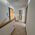 Rent 1 bedroom apartment of 170 m² in legnaro