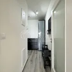 Rent 2 bedroom apartment in Capital City of Prague