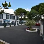 Maison de 82 m² avec 4 chambre(s) en location à Mougins