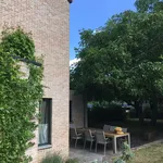 Rent 3 bedroom house of 500 m² in Holsbeek