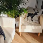 Rent 2 bedroom apartment of 80 m² in Roma