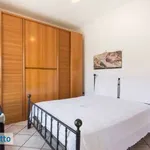 Bilocale arredato con terrazzo Centro