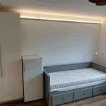 Rent 1 bedroom apartment in Jablonec nad Nisou