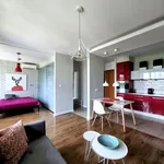 Rent 2 bedroom apartment of 43 m² in Wrocław