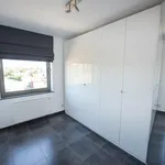 Rent 3 bedroom apartment of 123 m² in Zulte