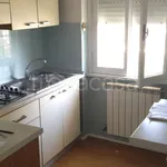 Rent 2 bedroom apartment of 60 m² in Roma