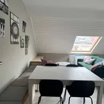 Rent a room in brussels