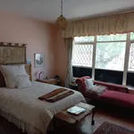 Rent 1 bedroom apartment in Gqeberha