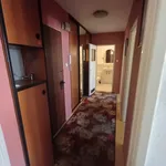 Rent 2 bedroom apartment of 43 m² in Wrocław