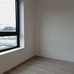 Huur 4 slaapkamer huis van 221 m² in MARIAKERKE