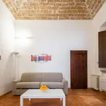 Rent 1 bedroom apartment in Florence