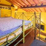 Rent 1 bedroom apartment in Florence