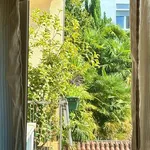 Rent 2 bedroom apartment of 80 m² in treviso