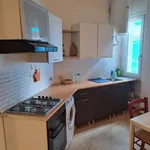 Rent 2 bedroom apartment of 50 m² in Milan