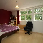 Rent 3 bedroom house of 100 m² in Amersfoort