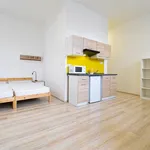 Rent 1 bedroom apartment in Brno