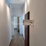 Rent 3 bedroom apartment of 74 m² in Bologna