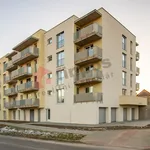 Rent 1 bedroom apartment in Hodonín