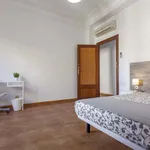 Rent a room in Valencia