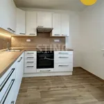 Pronajměte si 2 ložnic/e byt o rozloze 63 m² v Ostrava