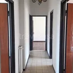 Rent 3 bedroom apartment of 105 m² in Vescovato