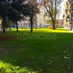 Rent 2 bedroom apartment of 60 m² in Milano