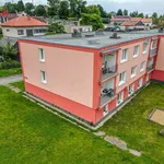 Pronajměte si 3 ložnic/e byt o rozloze 67 m² v Netvořice