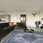 Rent 3 bedroom apartment of 110 m² in Amsterdam