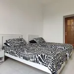 Rent 1 bedroom apartment in milan