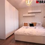 Pronajměte si 2 ložnic/e byt o rozloze 35 m² v Brno