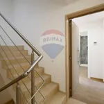 Rent 3 bedroom apartment of 70 m² in Valenzano