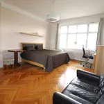 Rent 3 bedroom apartment of 92 m² in smichov