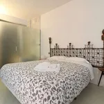 Rent 1 bedroom apartment of 55 m² in madrid