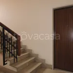 Rent 2 bedroom apartment of 50 m² in Torino