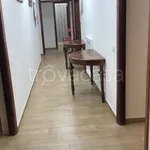 Rent 3 bedroom apartment of 130 m² in Roma