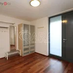 Pronajměte si 3 ložnic/e byt o rozloze 115 m² v Praha