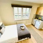 Rent 1 bedroom flat in london