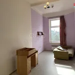 Rent 4 bedroom apartment of 135 m² in Benešov